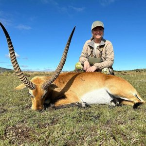 Lechwe Hunt South Africa