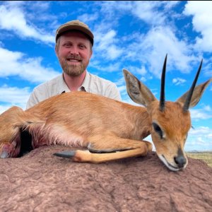 Steenbok Hunt South Africa