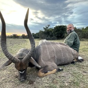 Nyala Hunting South Africa