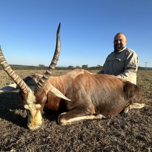 Blesbok Hunting South Africa