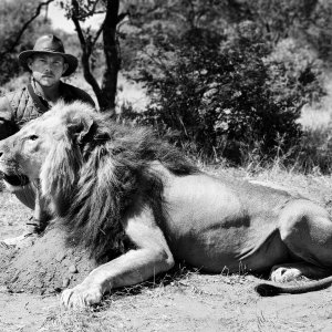 Lion Hunt South Africa