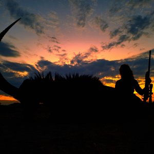 Sable Hunt South Africa