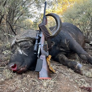 Buffalo Hunt South Africa