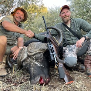 Buffalo Hunt South Africa