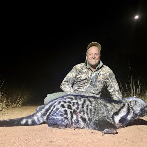 Civet Hunt Limpopo South Africa