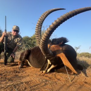 Sable Hunt South Africa