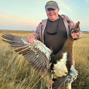 Wild Waterfowl shooting South Africa