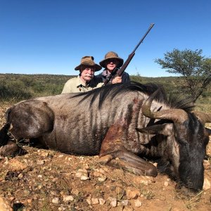 Blue Wildebeest Hunt Namibia