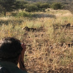 Khomas Hochland Namibia