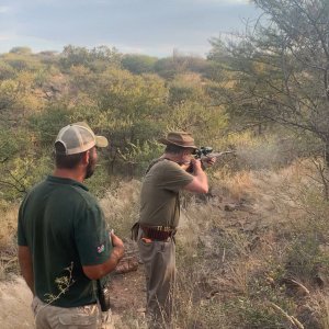 PH Juan & Velo Dog Namibia