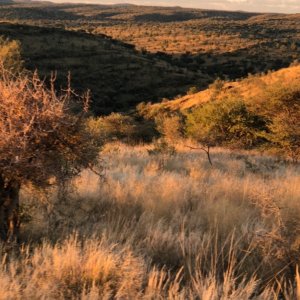 Scenery Khomas Hochland Namibia April 2024