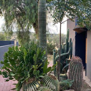 Lodge Khomas Hochland Namibia April 2024