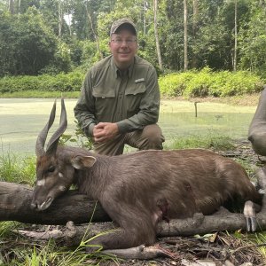 Forest Sitatunga Hunt Cameroon