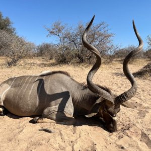 62 Inch Kudu Hunt South Africa