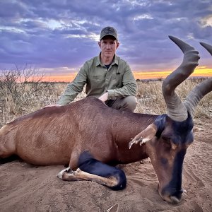 Red Hartebeest Hunt Namibia