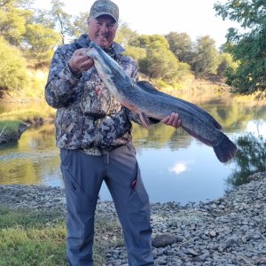 Fishing Catfish South Africa