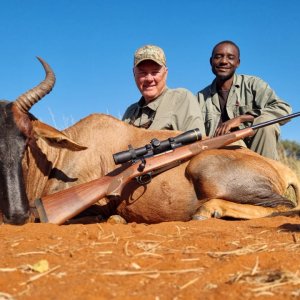 Tsessebe Hunt South Africa