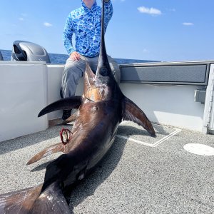 Fishing Swordfish Louisiana