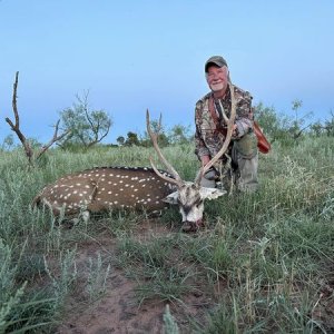 Axis Deer Handgun Hunt Texas