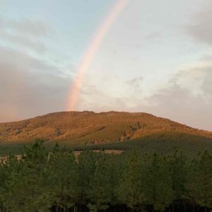 Scenery Eastern Cape South Africa