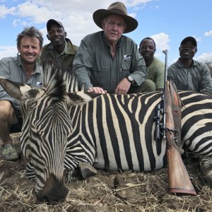 Zebra Hunt Zimbabwe