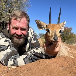 Steenbok Hunt South Africa