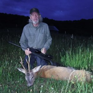 Roe Deer Hunt Romania