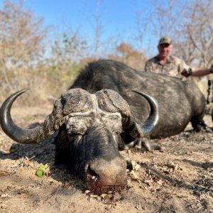 Buffalo Hunt Namibia