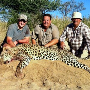 Leopard Hunt Namibia