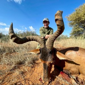 Red Hartebbest Hunt Namibia