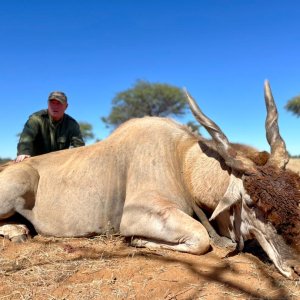 Eland Hunt Namibia