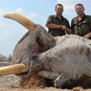 Elephant Hunt Namibia