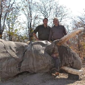 Elephant Hunt Namibia