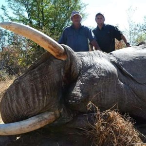 Elephant Hunt Namibia