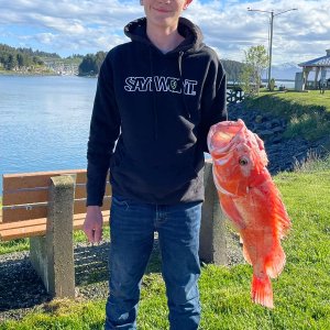 Rock Fish Fishing Kodiak