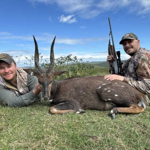 Cape Bushbuck Hunt Eastern Cape South Africa