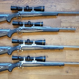 Hunting Rifles