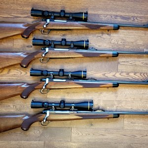 Hunting Rifles