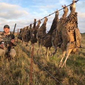 Wingshooting Argentina