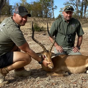 Impala Hunt Zimbabwe