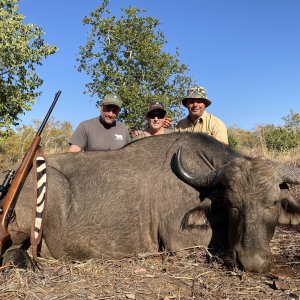 Buffalo Cow Hunt Zimbabwe