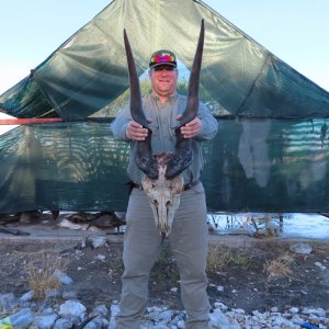 39 Inch Eland Hunt Botswana