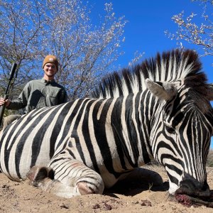 Zebra Hunt Botswana