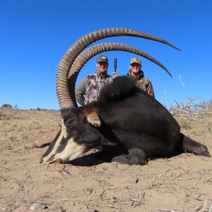 Sable Hunt Botswana