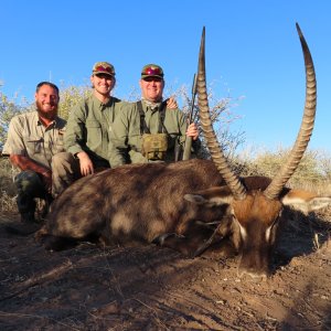 28 Inch Waterbuck Hunt Botswana