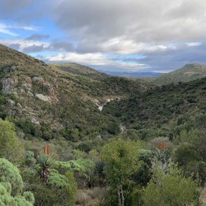 Scenery Eastern Cape South Africa