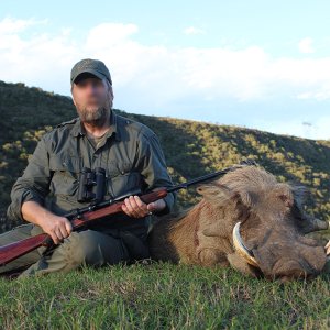 Warthog Hunt Eastern Cape South Africa