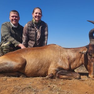 Hartebeest Hunt Free State South Africa