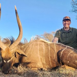 Nyala Hunt Free State South Africa