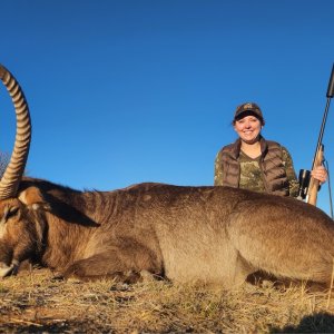 Waterbuck Hunt Free State South Africa